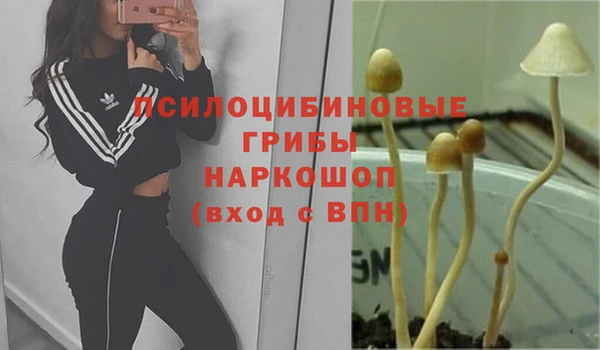 эйфоретик Вязники